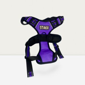 Stake Harness Medium
