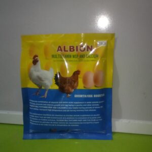 ALBION MULTIVITAMIN WSP AND CALCIUM